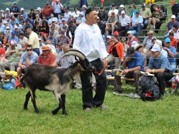 Schwarzsee 75 Jahre 2012- (28)